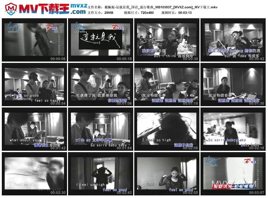戴佩妮-这就是我_国语_流行歌曲_MB103537